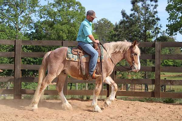 barrel-racing-draft-horse