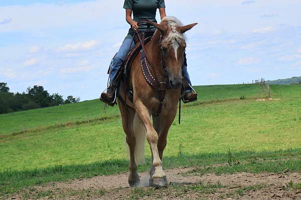 chestnut-white-stripe-mane-tail-horse