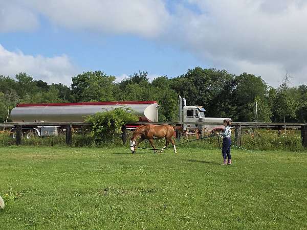 teens-paint-horse