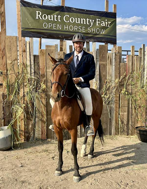 day-mustang-horse