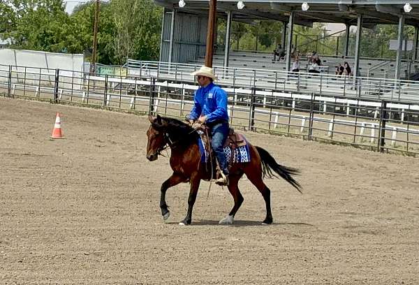 dental-mustang-horse