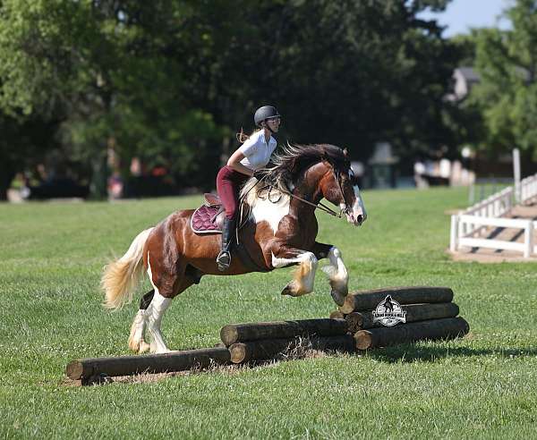 ranch-work-draft-horse