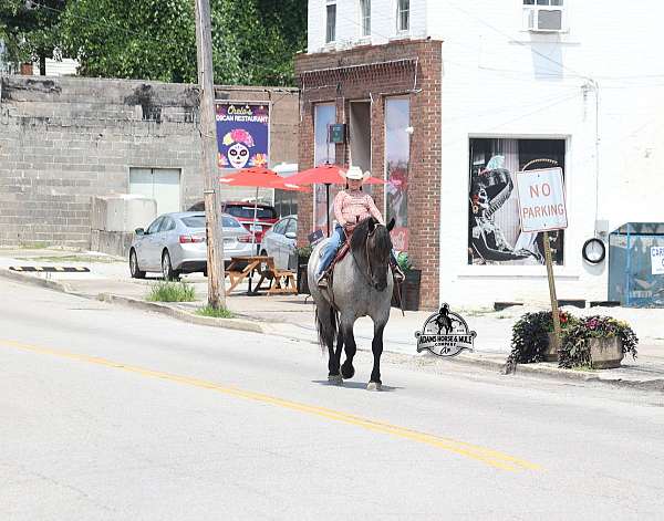 flashy-quarter-horse