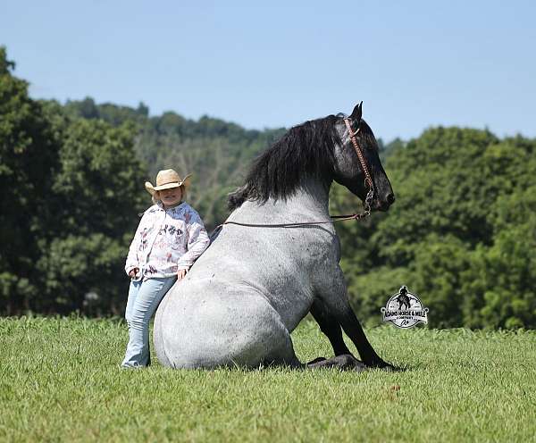 none-horse