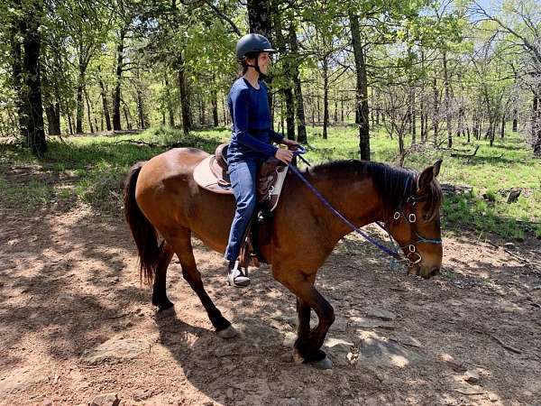 mustang-horse-for-sale