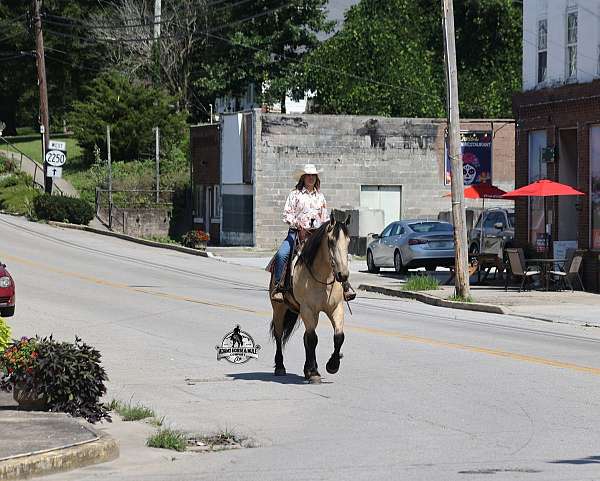 rope-draft-horse