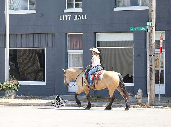 jump-draft-horse