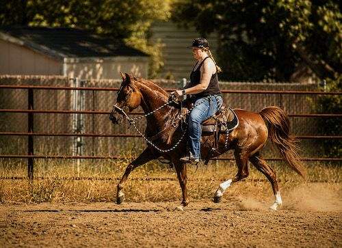 character-morgan-horse