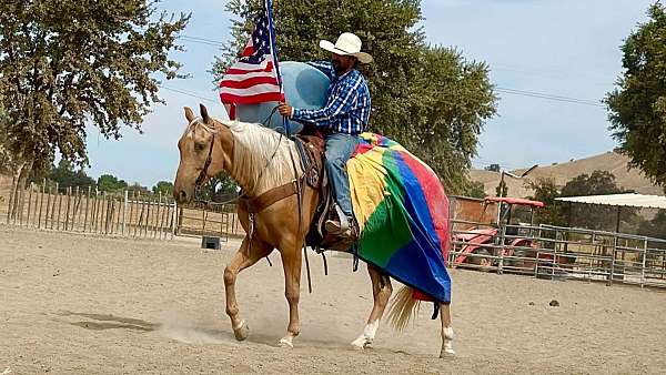 ridden-western-quarter-horse