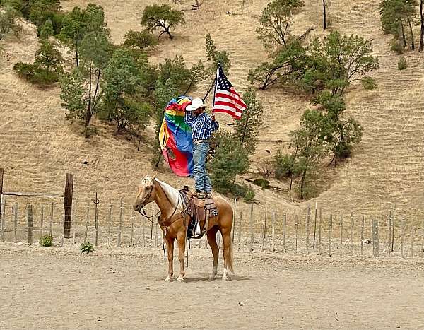 roping-quarter-horse