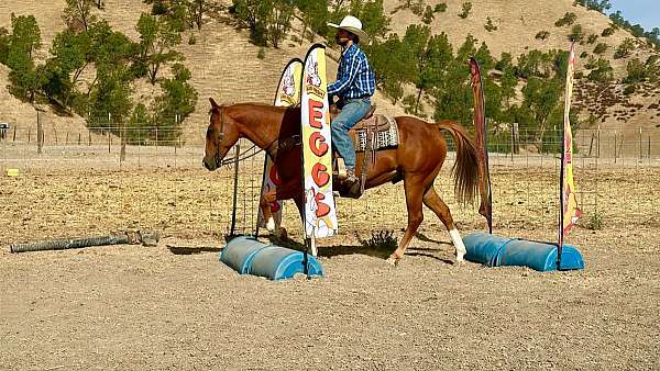 roping-quarter-horse