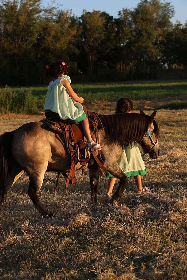 ranch-versatility-pony