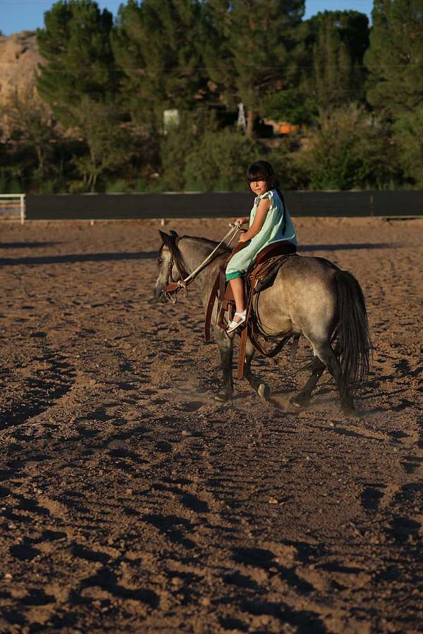 trail-pony