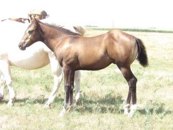 youth-projects-colt