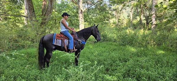 black-horse-kentucky-mountain