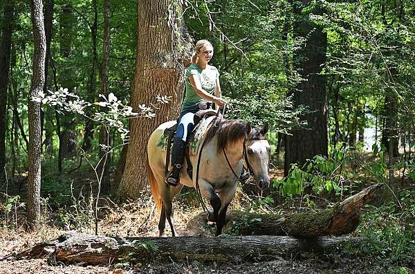 gelding-quarter-horse