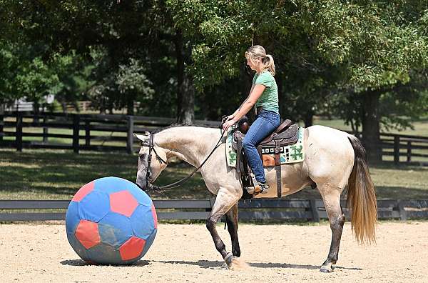 all-around-quarter-horse