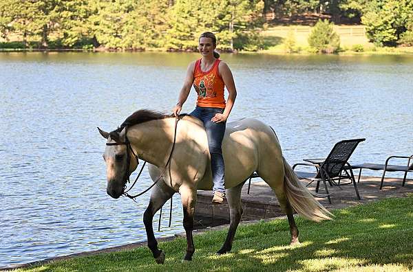 athletic-quarter-horse