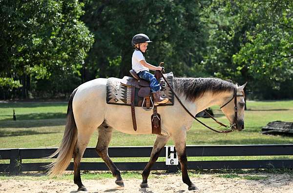 flashy-quarter-horse