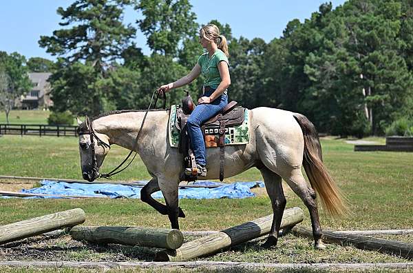 bombproof-quarter-horse