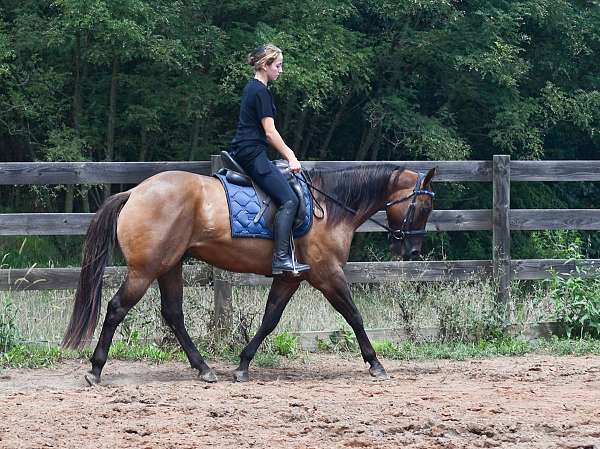 cowboy-mounted-shooting-quarter-horse