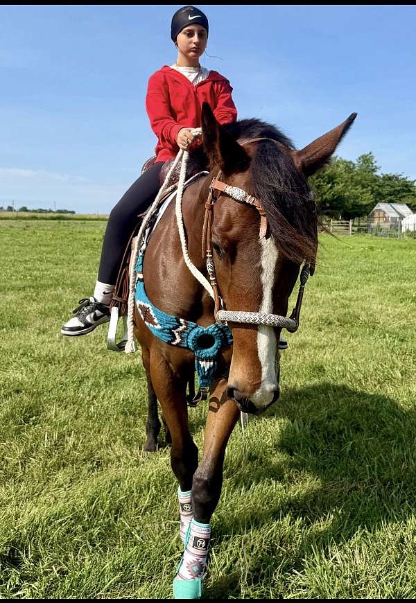 bay-blaze-pony
