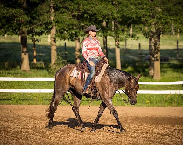 athletic-quarter-horse