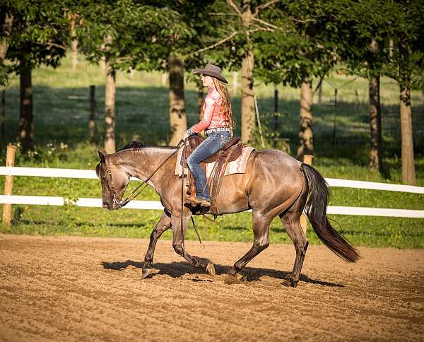flashy-quarter-horse