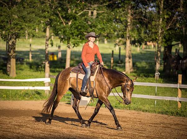kid-saf-horse