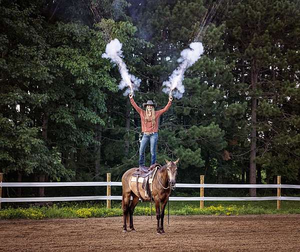 athletic-azteca-horse