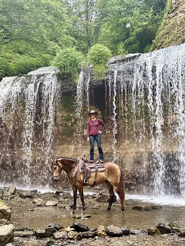 cross-azteca-horse