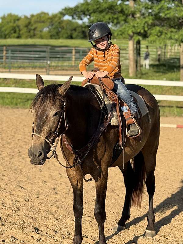 dressage-azteca-horse