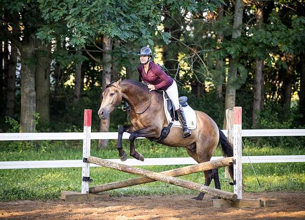 classical-azteca-horse