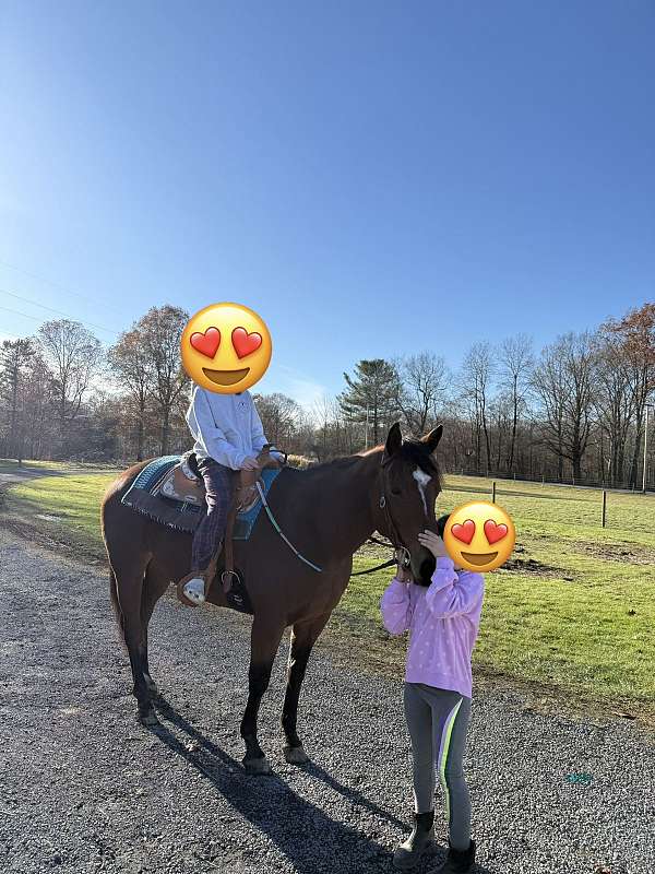 buck-quarter-horse
