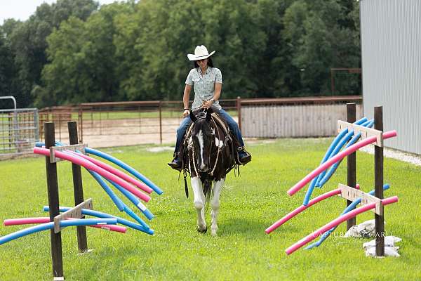 show-hack-paint-horse