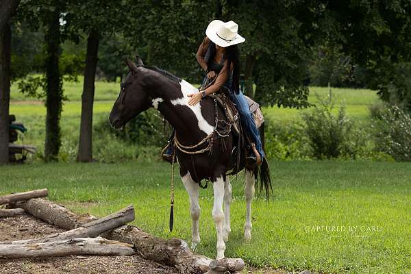 trail-riding-paint-horse