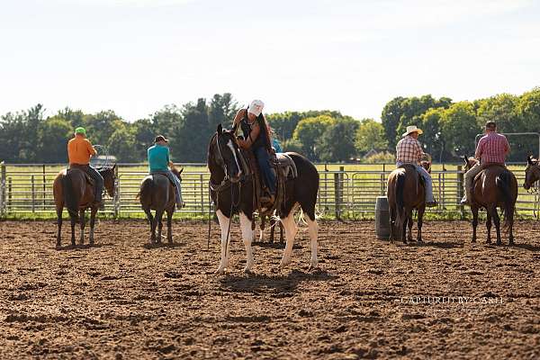 western-riding-paint-horse