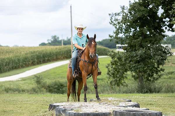 roping-quarter-horse