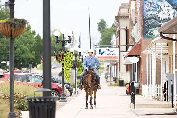 western-riding-quarter-horse