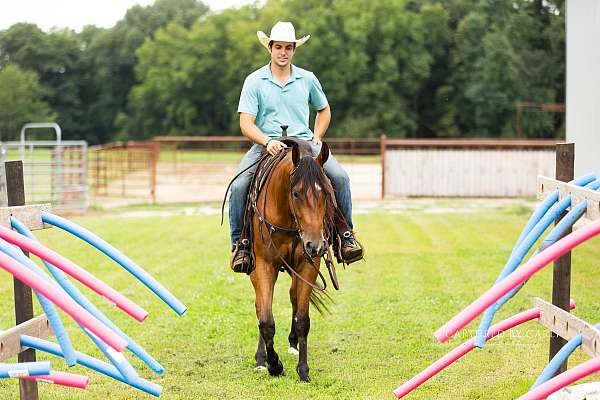 ranch-versatility-quarter-horse