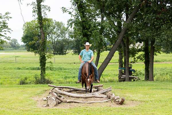 trail-riding-quarter-horse