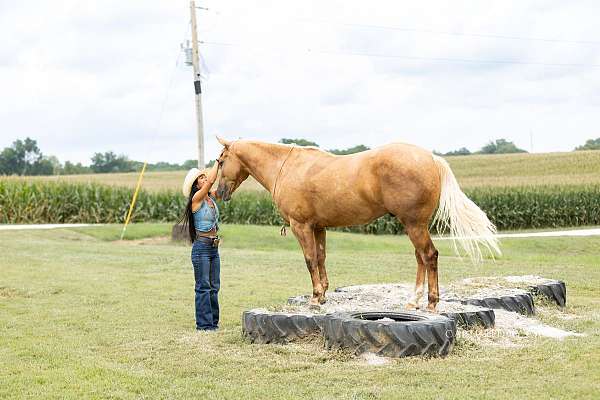 trail-riding-quarter-horse
