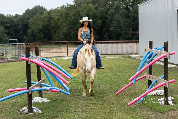 ranch-quarter-horse