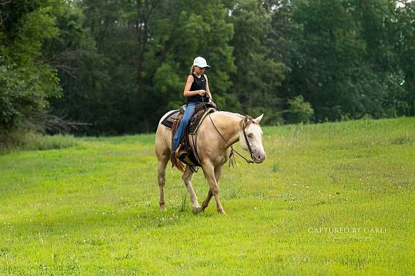 kid-safe-quarter-horse