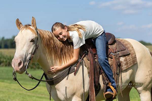 ridden-english-quarter-horse