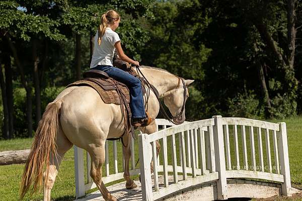 ridden-western-quarter-horse