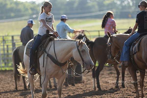 roping-quarter-horse