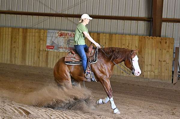 flashy-quarter-horse