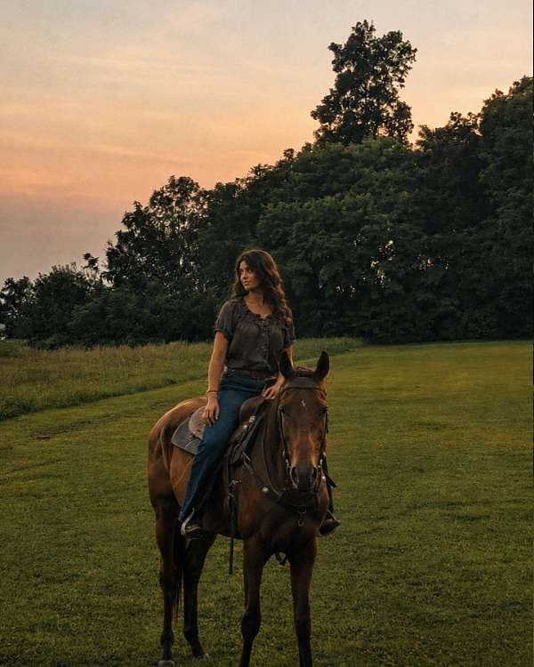 thoroughbred-mare