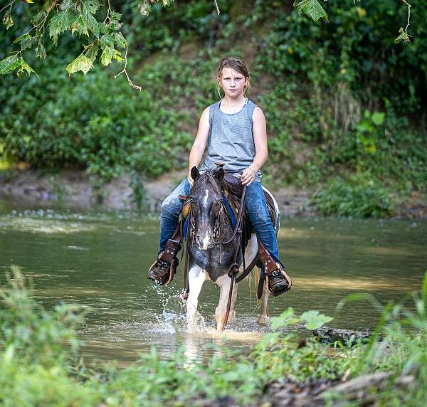 all-around-pony